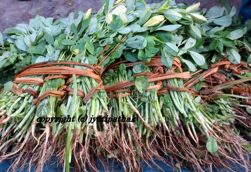Green Leafy Vegetables - साग-पात हरु - (Part 1)