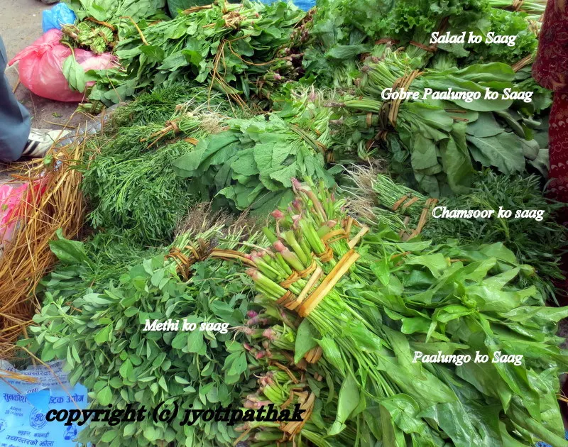 Green Leafy Vegetables - साग-पात हरु - (Part 1)