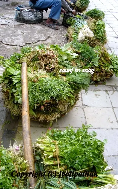 Green Leafy Vegetables - साग-पात हरु - (Part 1)