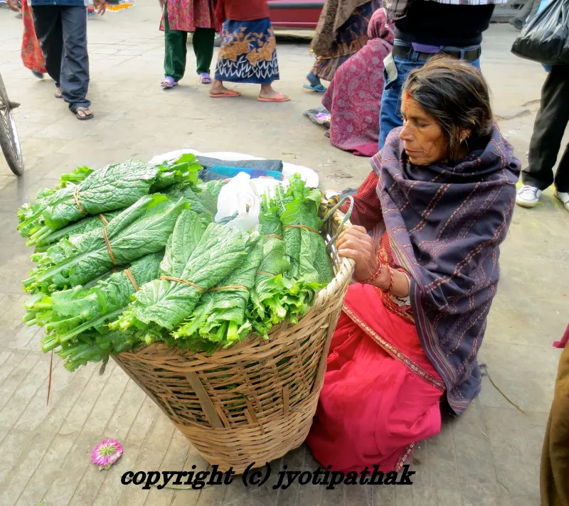 Green Leafy Vegetables - साग-पात हरु - (Part 1)