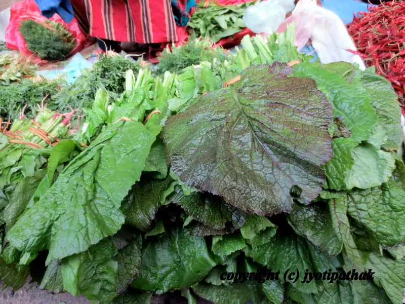 Green Leafy Vegetables - साग-पात हरु - (Part 1)