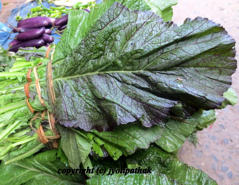 Mustard Greens comes in a different colors and textures. Here is a picture of deep purple to red mustard green leaves. The leaves grow up to 8-10 inches in length and up to 5 inches in width and they have a delicious peppery taste.