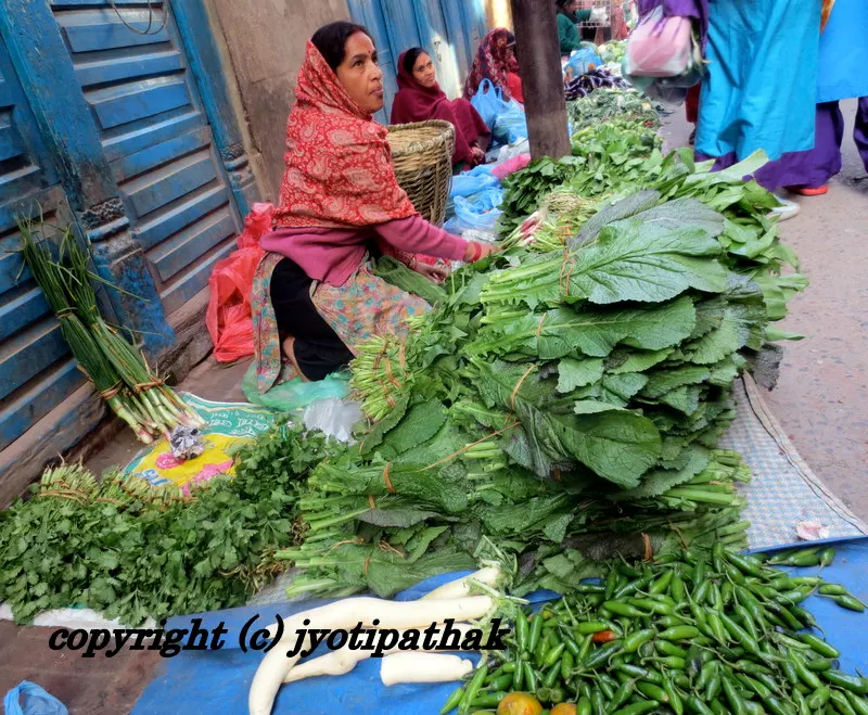 Green Leafy Vegetables - साग-पात हरु - (Part 1)
