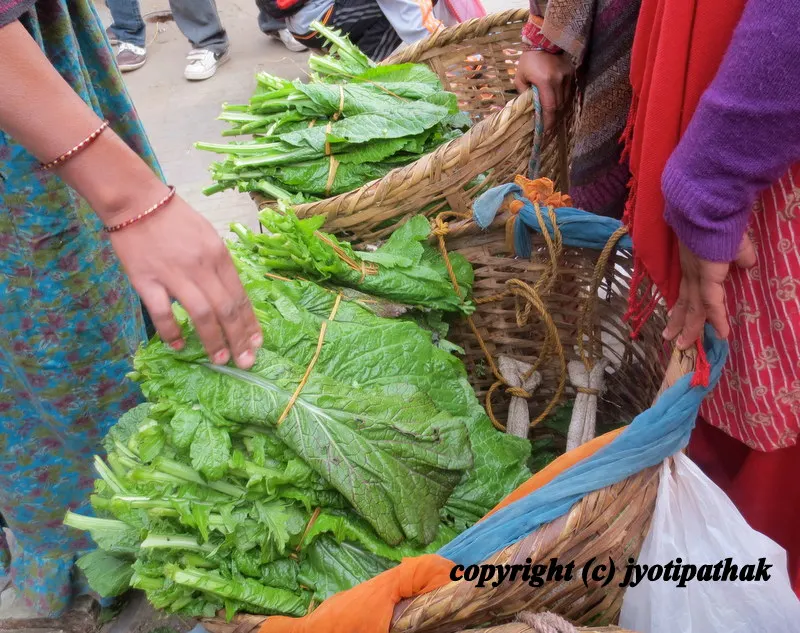 Green Leafy Vegetables - साग-पात हरु - (Part 1)