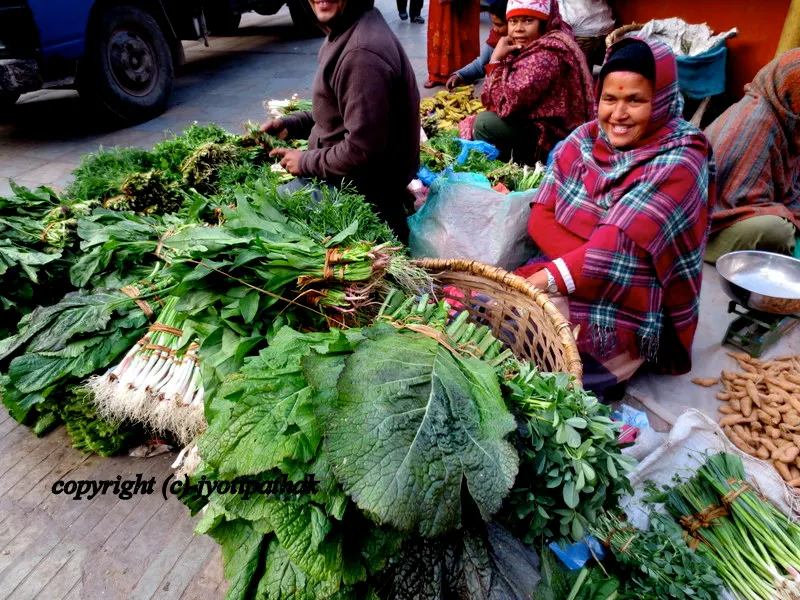 Green Leafy Vegetables - साग-पात हरु - (Part 1)