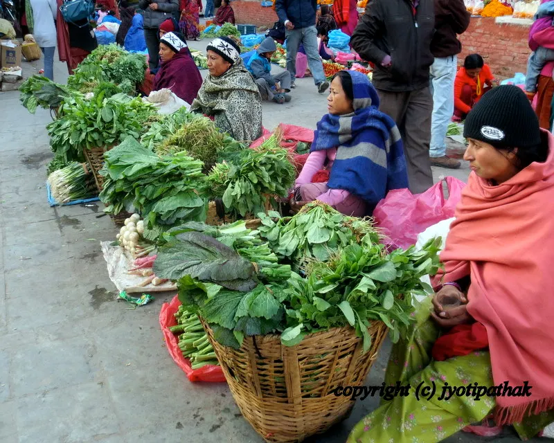 Green Leafy Vegetables - साग-पात हरु - (Part 1)