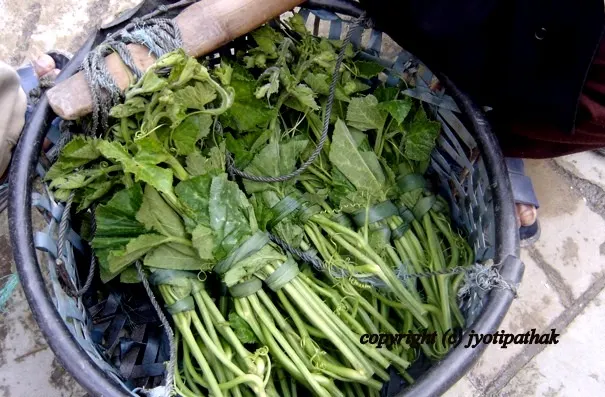 Green Leafy Vegetables - साग-पात हरु - (Part 1)