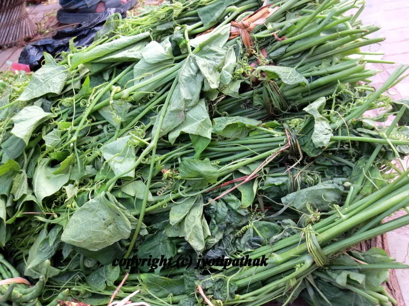 Green Leafy Vegetables - साग-पात हरु - (Part 1)