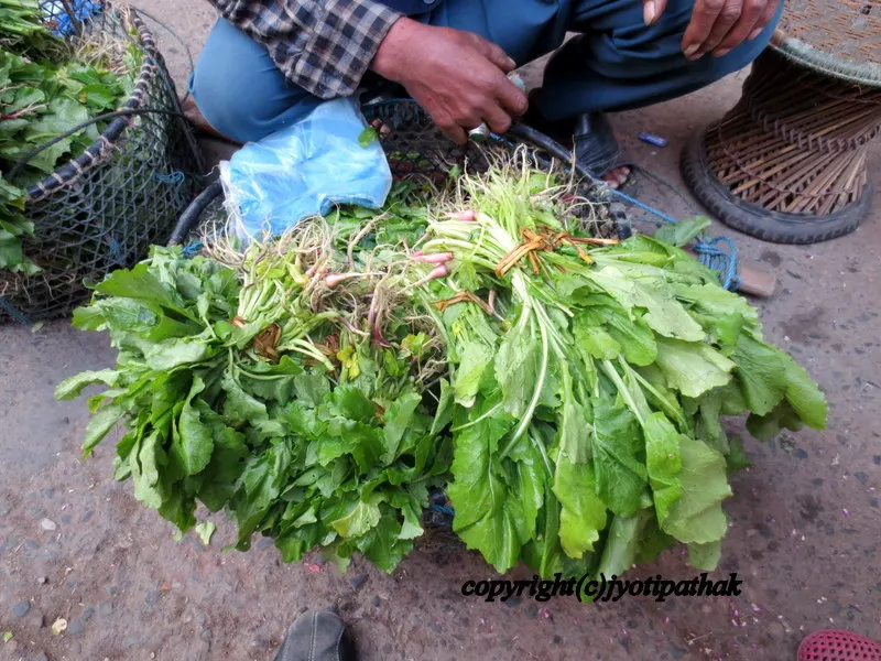 Green Leafy Vegetables - साग-पात हरु - (Part 3)