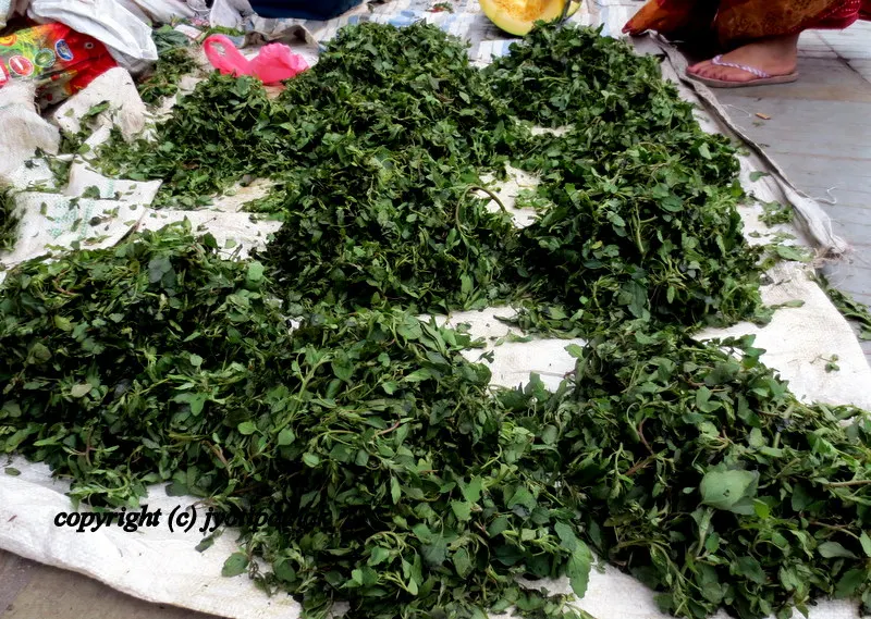 Green Leafy Vegetables - साग-पात हरु - (Part 3)