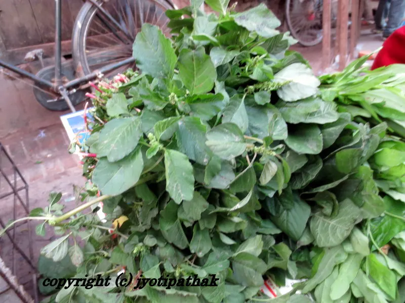 Green Leafy Vegetables - साग-पात हरु - (Part 3)