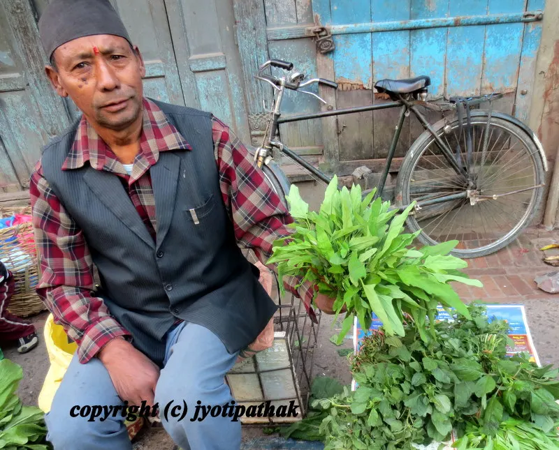 Green Leafy Vegetables - साग-पात हरु - (Part 3)