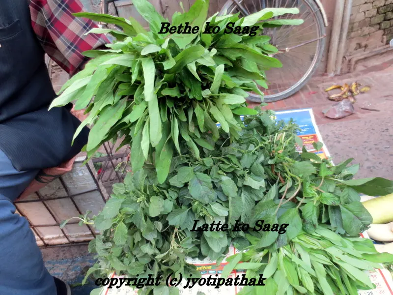 Another close up picture of Bethe and Latte leaves.