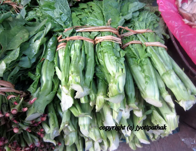 Green Leafy Vegetables - साग-पात हरु - (Part 3)