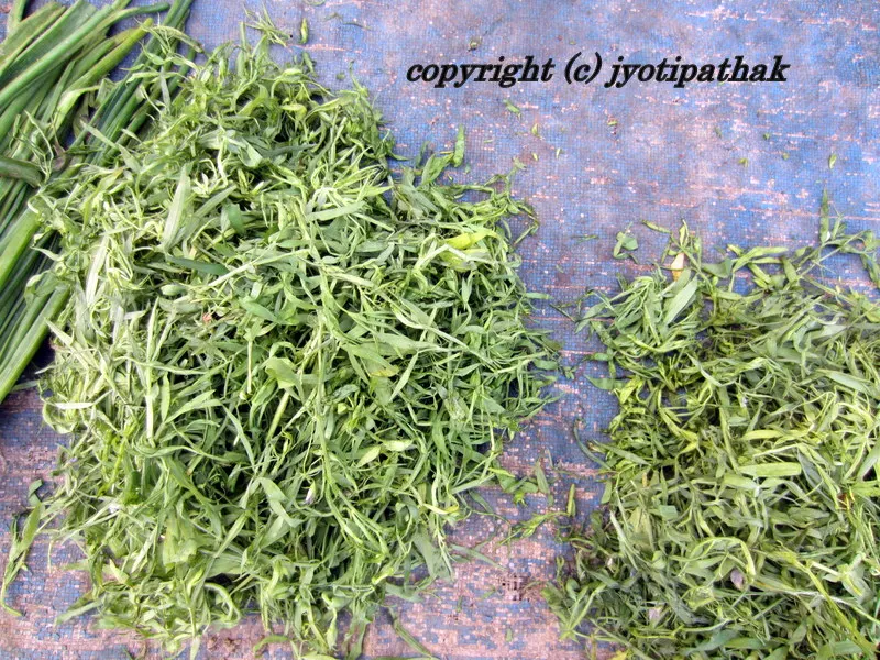 Green Leafy Vegetables - साग-पात हरु - (Part 3)