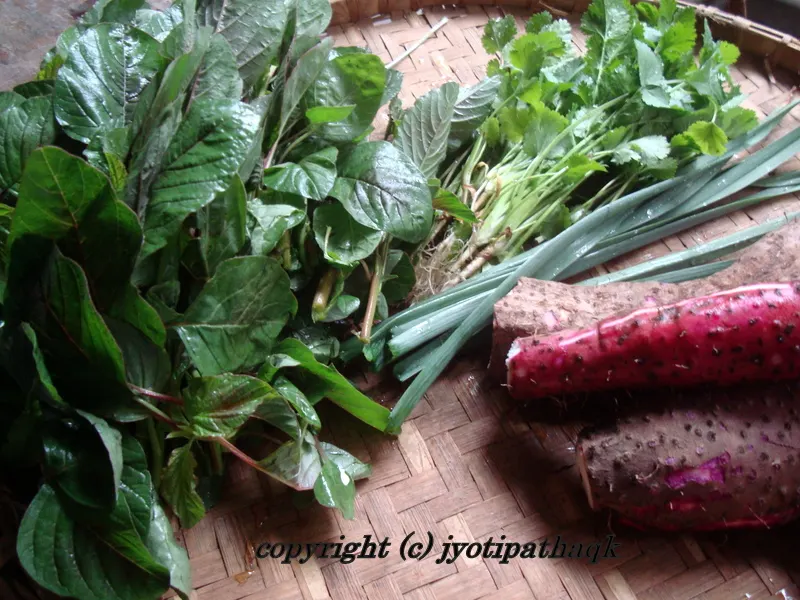 Freshly picked Lunde ko Saag, (Redroot Pigwood), fresh coriander and Bantarul from the farm house.