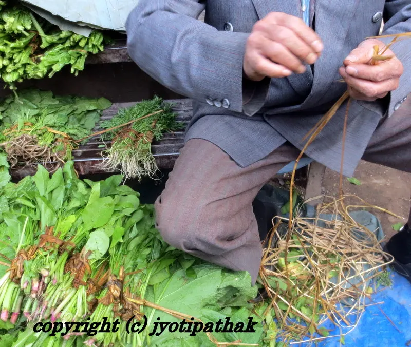 Green Leafy Vegetables - साग-पात हरु - (Part 4)