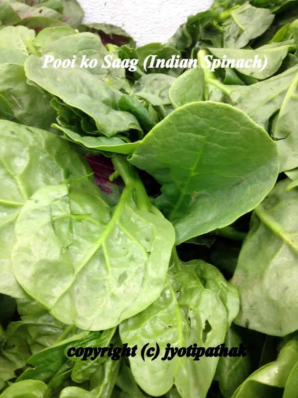 Green Leafy Vegetables - साग-पात हरु - (Part 4)