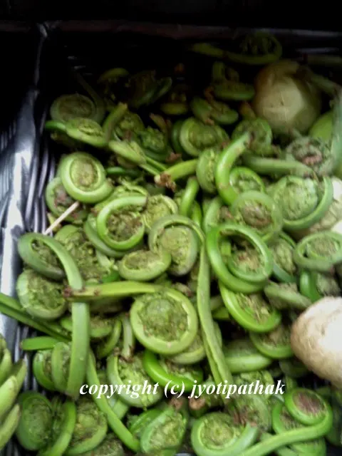 Green Leafy Vegetables - साग-पात हरु - (Part 4)
