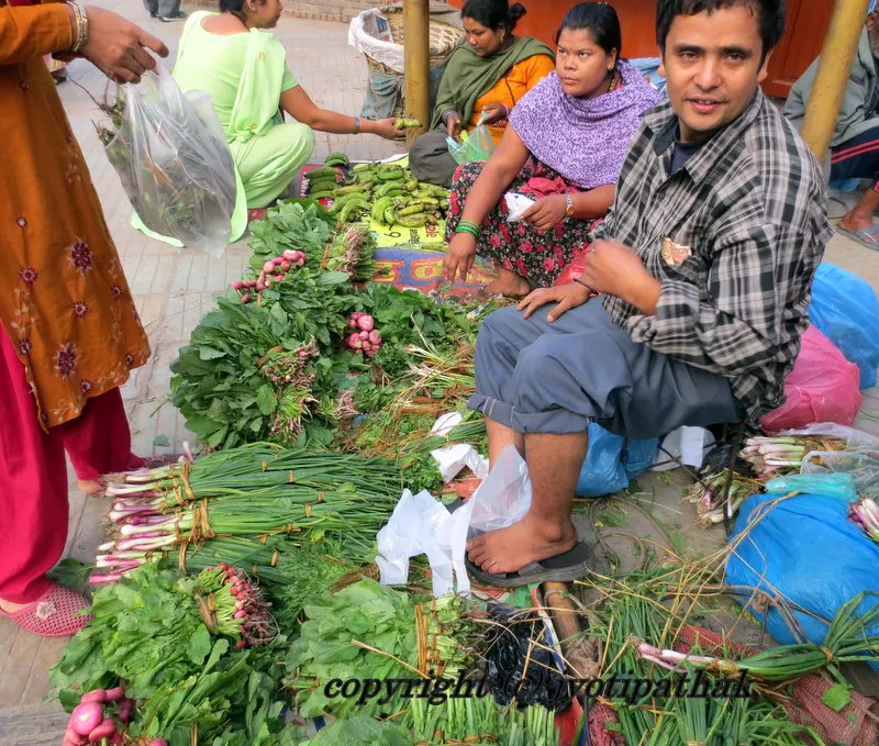 Green Leafy Vegetables - साग-पात हरु - (Part 4)