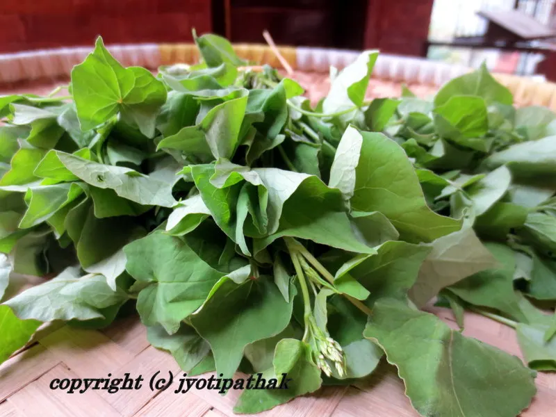 Green Leafy Vegetables - साग-पात हरु - (Part 2)