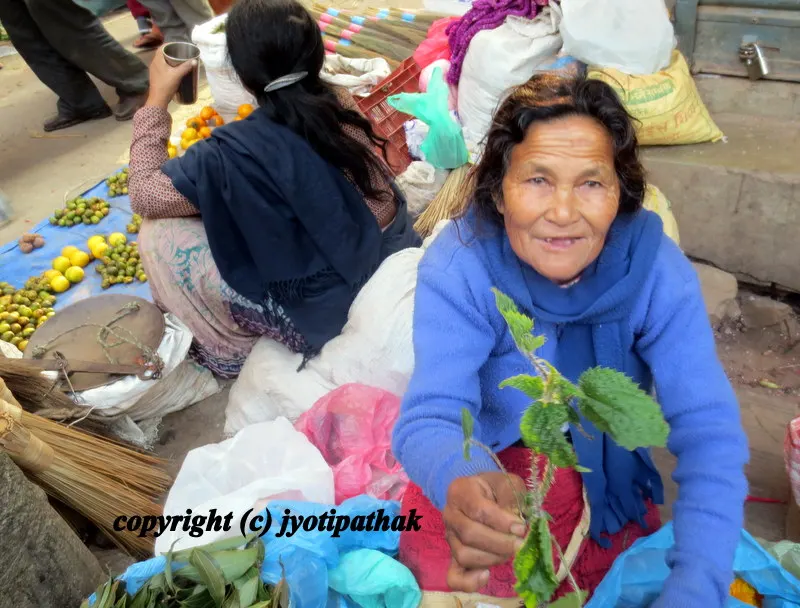 Green Leafy Vegetables - साग-पात हरु - (Part 2)