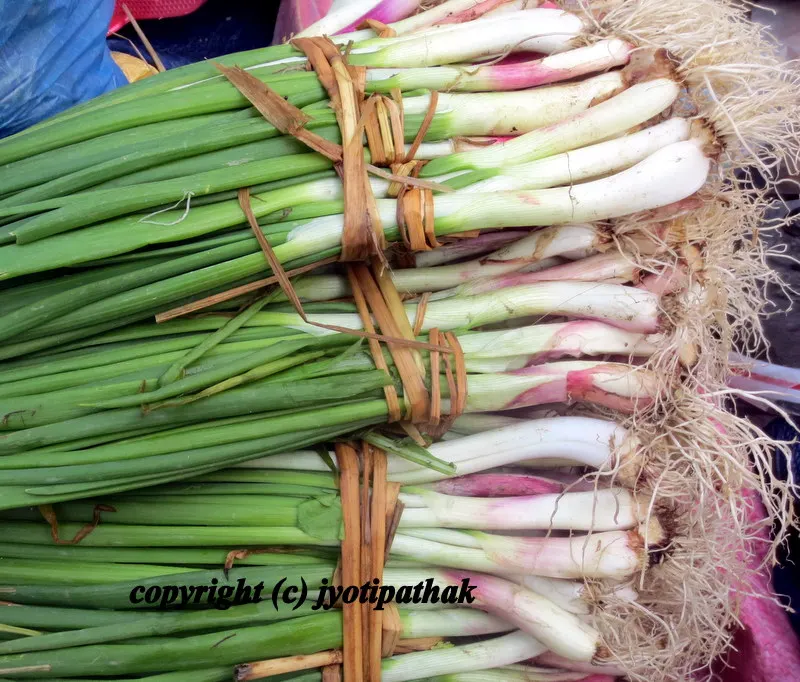 Green Leafy Vegetables - साग-पात हरु - (Part 2)