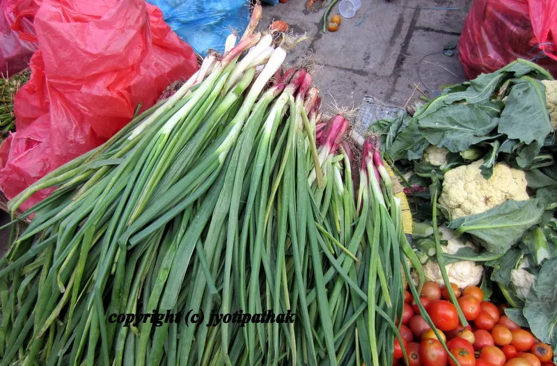 Green Leafy Vegetables - साग-पात हरु - (Part 2)