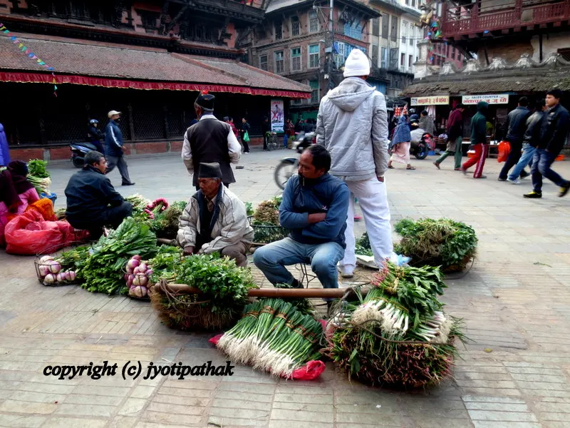 Green Leafy Vegetables - साग-पात हरु - (Part 2)