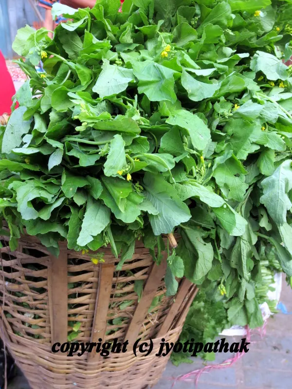 Green Leafy Vegetables - साग-पात हरु - (Part 2)
