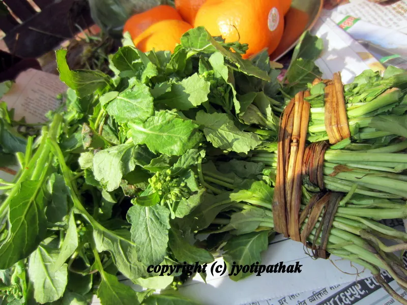Green Leafy Vegetables - साग-पात हरु - (Part 2)