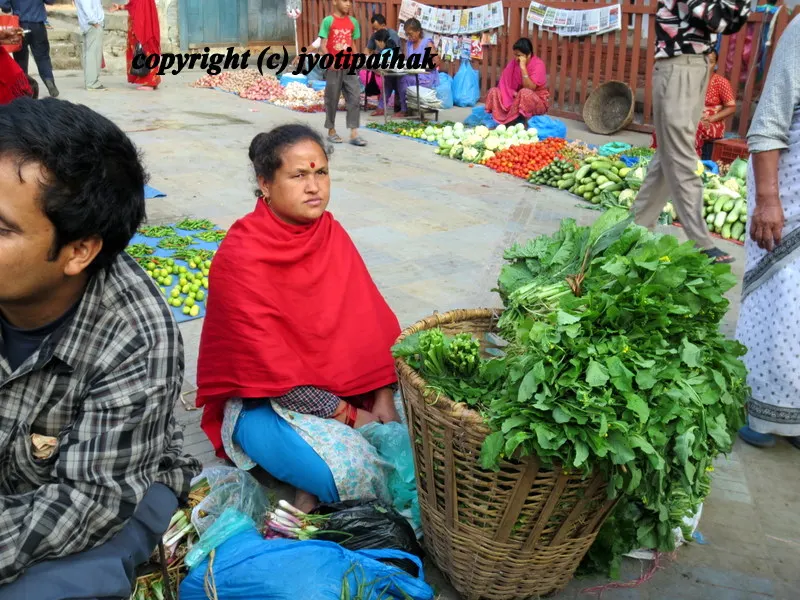 Green Leafy Vegetables - साग-पात हरु - (Part 2)