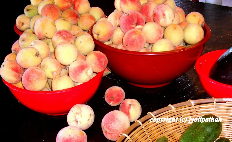 ... separating bruised and over-ripped fruits ...