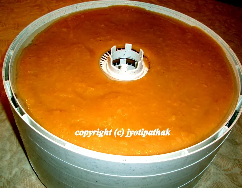 Fruit leather - Maadaa - (फलफूल को माड़ा)
