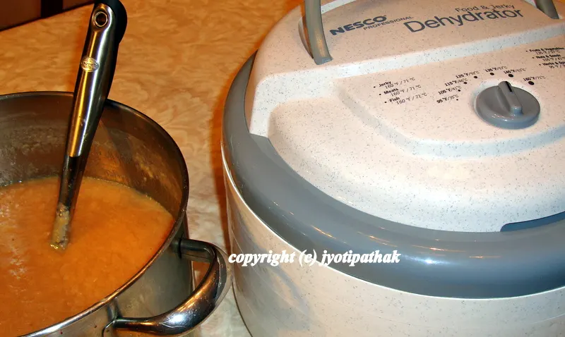 ... patiently waiting for the fruit leather to be ready and my whole house is smelling so good while the peach puree is being dried....