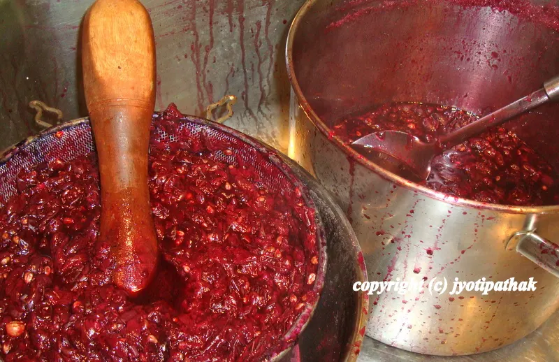 ... making home-made concord grape fruit leather - simmer the grapes, strain the juice, use food mill to separate out the skins and seeds ...
