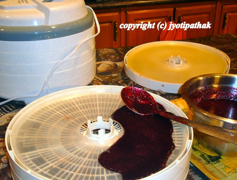 ... pour and spread into dehydrator tray, spread thinly and evenly ... gently shake the tray for evenness ..