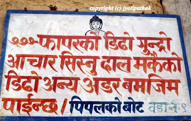 Nepali Dhindo - ढिडोँ - (Cornmeal Porridge)