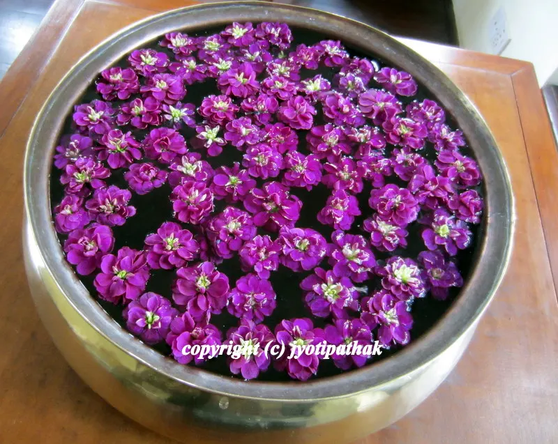 ... a beautiful purple flower pot to celebrate the coming warm weather!