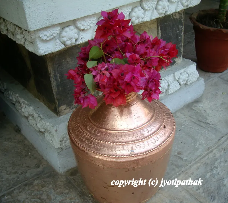 ... bright colored Bougainvillea in a brass kalasha placed in the enterway of the house to welcome guests. It is a pot or pitcher with a narrow neck and a wide mouth that is used for ritual worship.