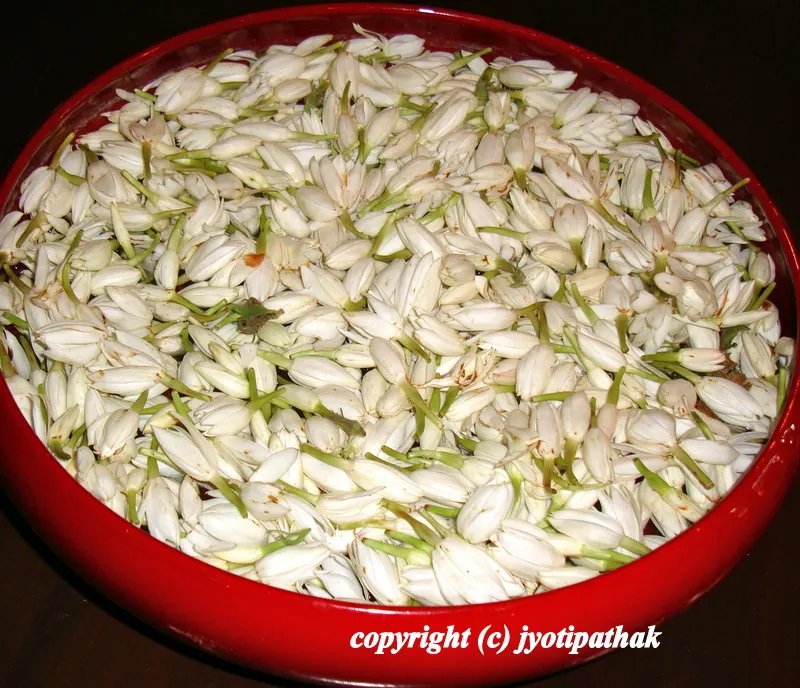 ... heavenly scent and tranquility coming out of this Jasmine chameli flowers.