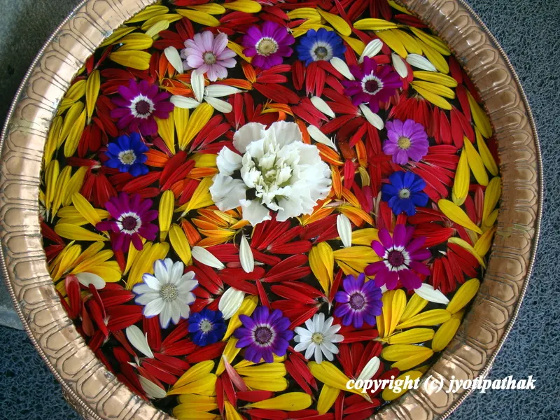 ... come and see this rainbow of color floating flower and petals - beautifully designed brass pot gives the feeling of - heart of boundless love for all in the world.