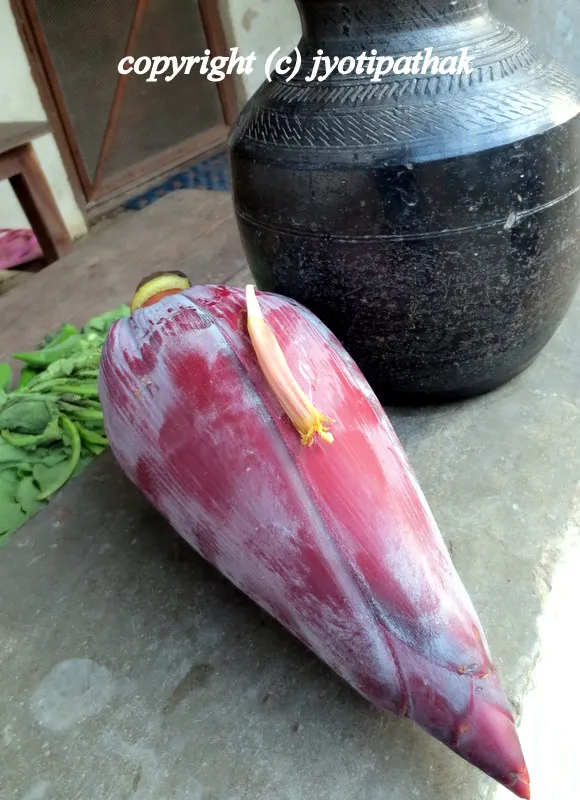 Image of just picked banana blossom at my cousin's farm house - getting ready to clean and cut the blossom and flowers.