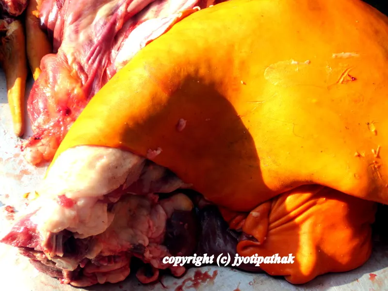 Here is an another image of slaughtered animal that is rubbed with turmeric powder to help preserve the meat.