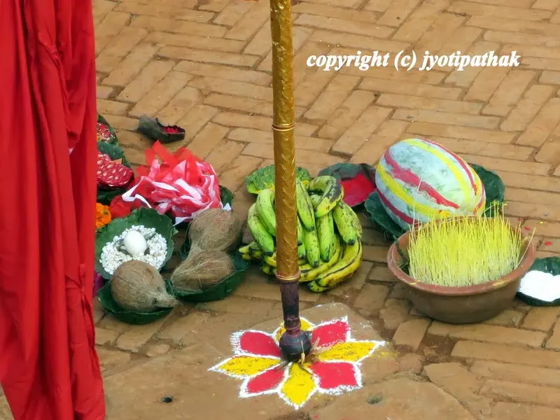 Decorated ash gourd (kubhindo), a pumpkin like vegetable in the far right is one of the most important gourd in Nepal. - many people these days are offering कुभिन्डो (kubhindo) to deities instead of ceremonial slaughter of animals.