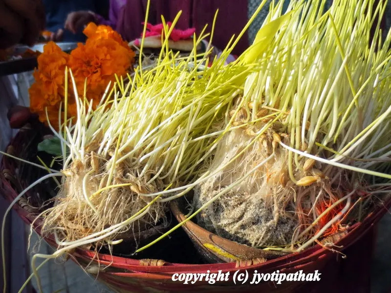 Happy Bijaya Dashami 2013 - विजया दशमीकेा शुभकामना (Part 2)
