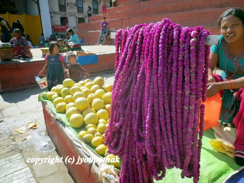 A smiling Nepali women is asking me to buy some मखमली फूल को माला - makhamali phool ko maalaa or supari phool ko maalaa - (globe amaranth garlands)
