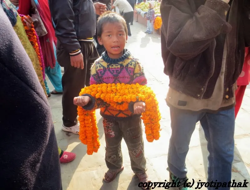2013 - Happy Deepawali, Tihar & Bhai-Tika