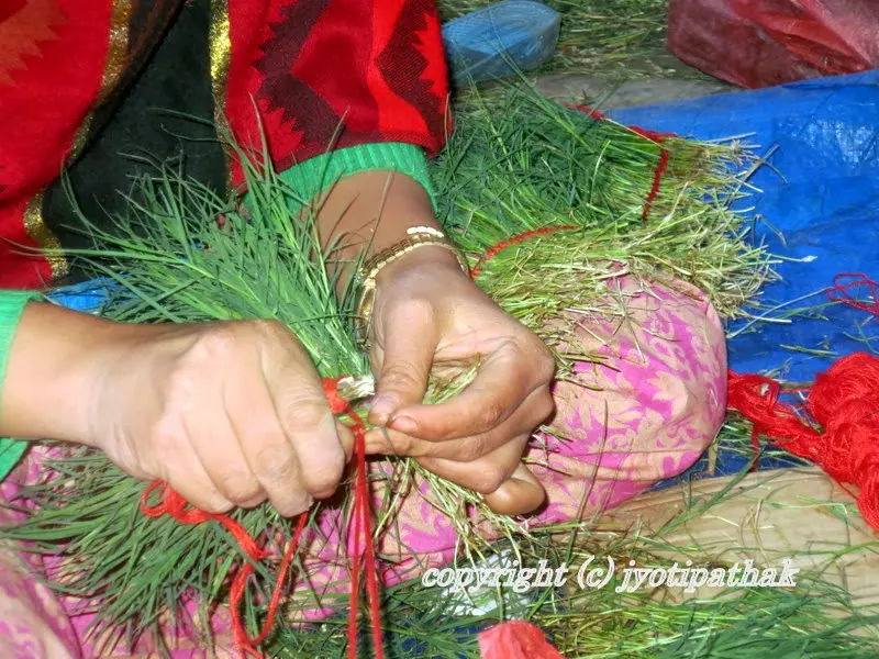 ...starting with one end of the thread, she collects small bundle of grass with one hand and loops the thread over, under and back of the stem side of the grass facing the same way. She ties the grass into secure knots.