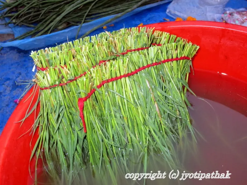 …carefully rolling the finished garland into bundles before dipping in a bowl of cold water.
